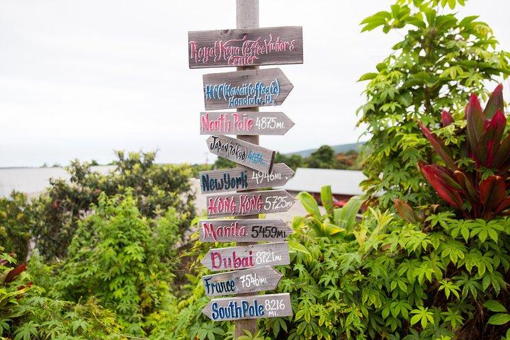 Day Trip from Oahu to Hilo: Volcano Adventure
