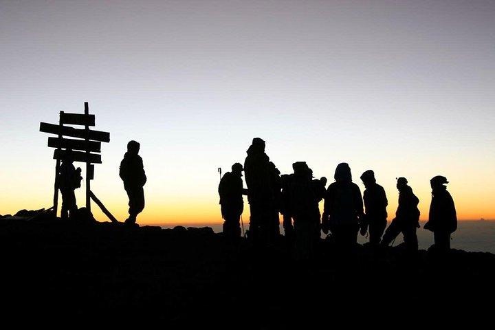 Kilimanjaro-shira Route 8 Days Itinerary