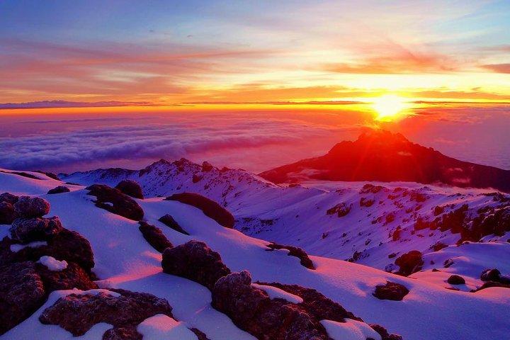 Kilimanjaro-shira Route 8 Days Itinerary