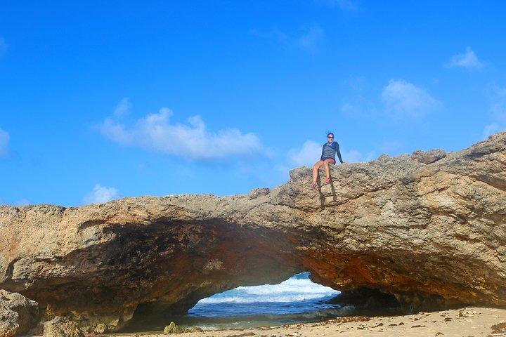 Aruba Natural Pools Northshore Safari Tour