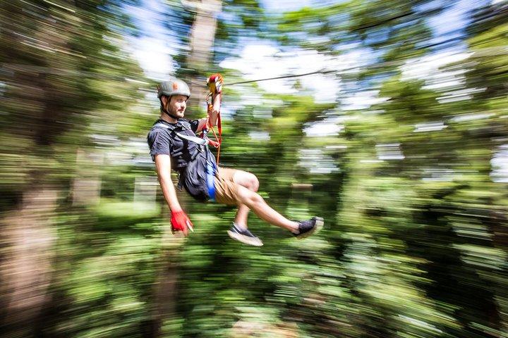 Sunshine Coast High Ropes and Zipline Adventure Park