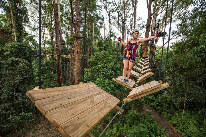 Sunshine Coast High Ropes and Zipline Adventure Park