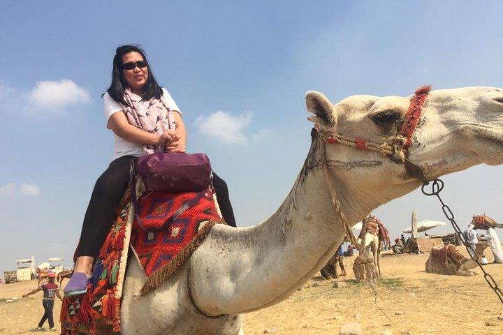 Layover Tour To Pyramids of Giza with Camel Ride and Lunch