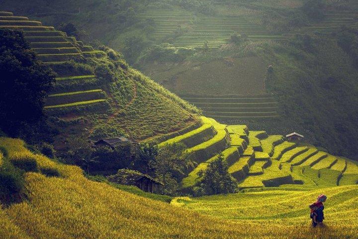 3-Night Rail and Trekking Tour of Sapa and Coc Ly Market from Hanoi