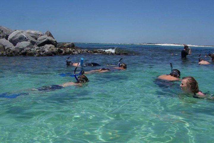 Snorkeling, Shelling & Eco Excursion from Destin