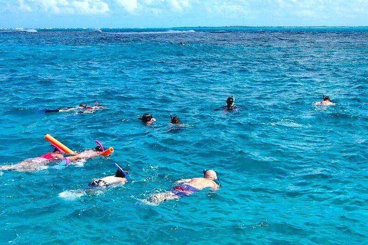 4hr Group Half Day Snorkel Excursion in Grace Bay, Providenciales