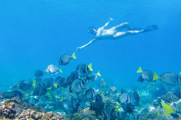 Los Cabos Power Snorkel Adventure, Kayaking and Stand-Up Paddle