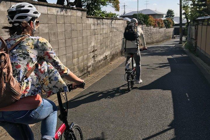 Hidden Kyoto E-Biking tour