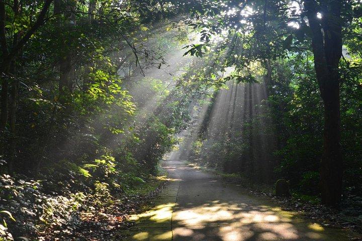 Cuc Phuong National Park Trekking Tour with Expert Guide
