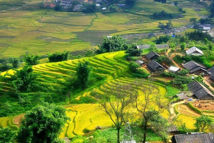 Sapa Easy Trek with Bac Ha Market 2D3N