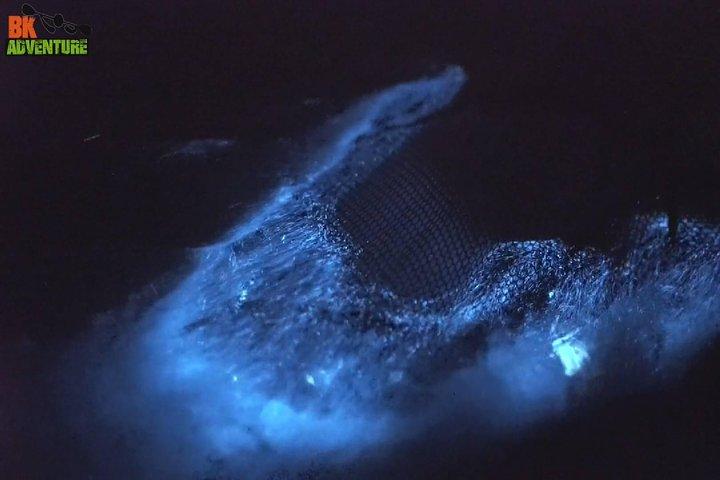 Bioluminescence Night Kayaking Tour of Merritt Island Wildlife Refuge