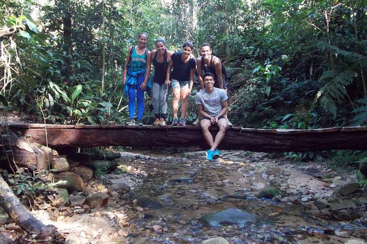 Tijuca Forest Hiking Tour including Waterfalls
