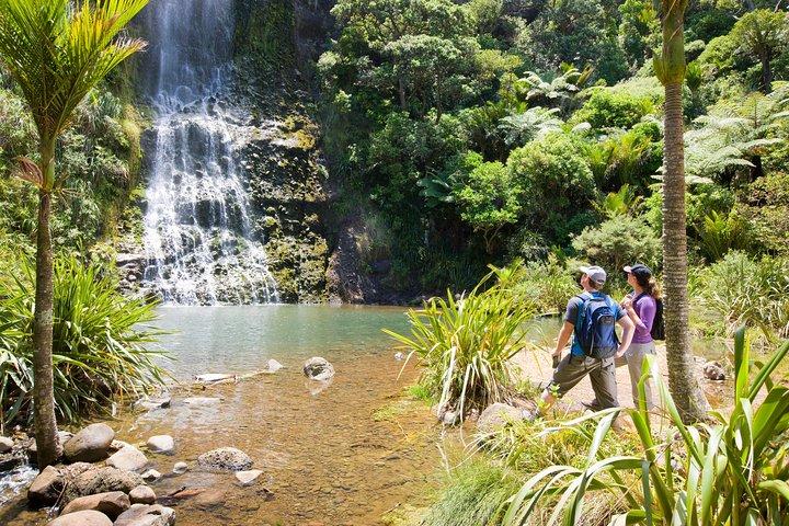 Private Auckland West Coast & Rainforest Day Tour.