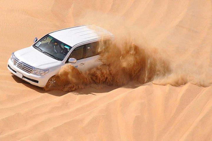 Premium Red Dunes Safari and Camel Safari with BBQ Dinner