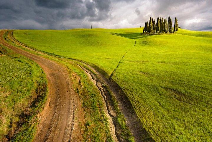 HALF-DAY Tour to Chianti Wine Region: CHIANTI COLORS & FLAVORS