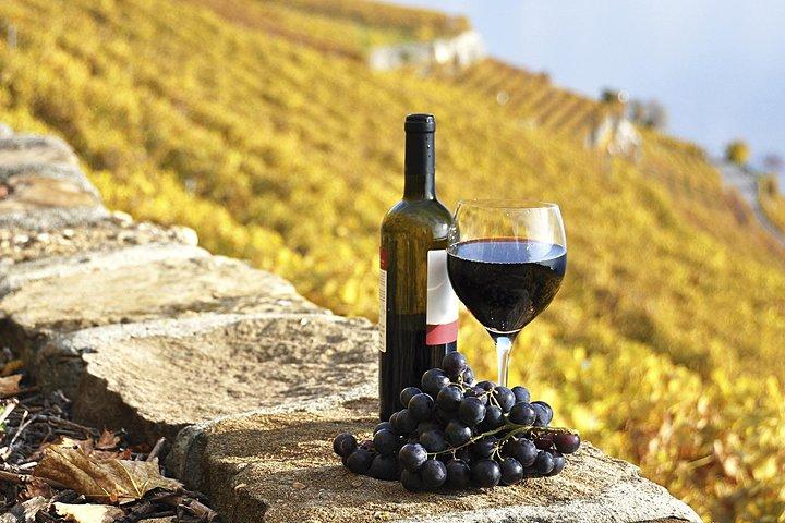 HALF-DAY Tour to Chianti Wine Region: CHIANTI COLORS & FLAVORS