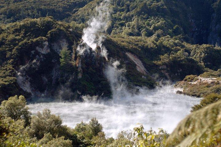 Auckland to Rotorua Private Tour