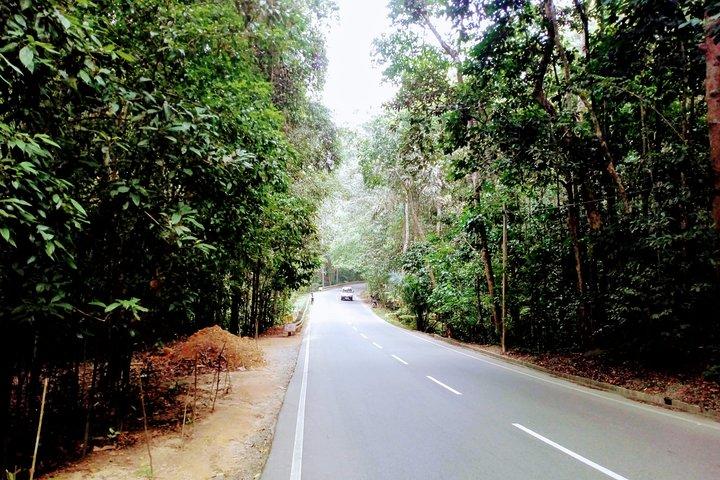 Sri Lanka Private 21 days tour include sightseeing,Wild life,Cultural,Boat tour