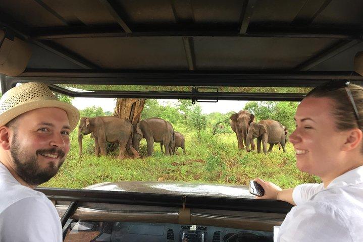 Udawalawe safari with Elephant transit home