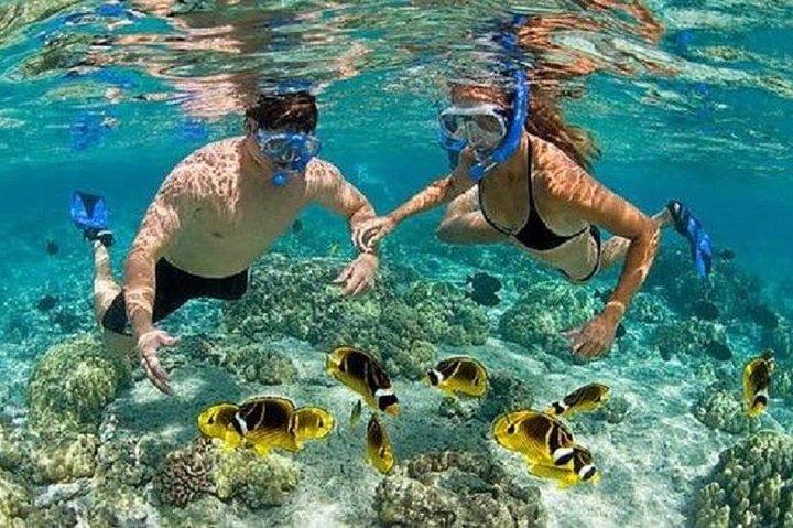 Bali Snorkeling at Blue Lagoon with Transport and Lunch