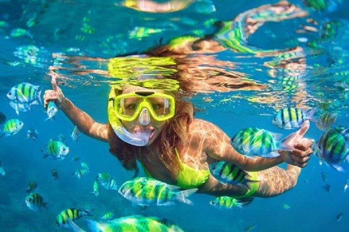 Bali Snorkeling at Blue Lagoon with Transport and Lunch