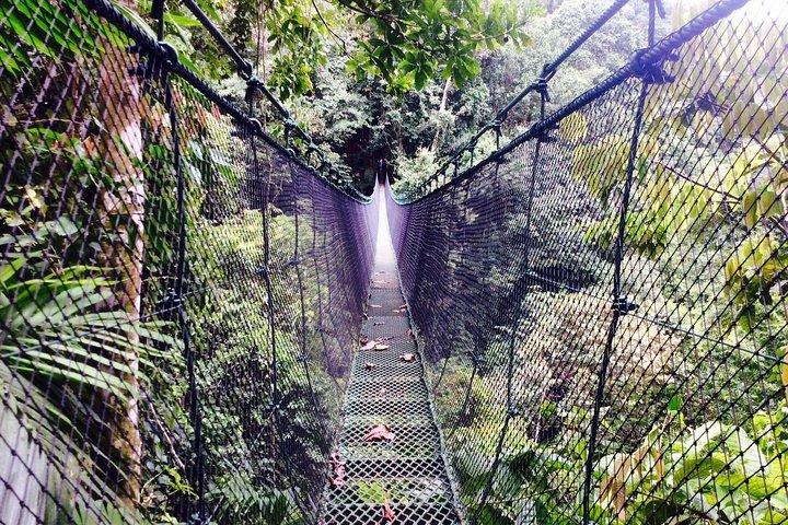 Manuel Antonio Waterfalls & Cultural Tour Small Group