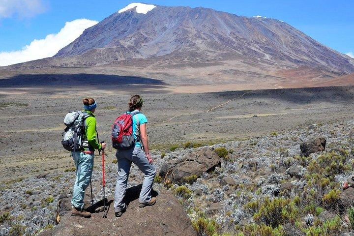 Mount Kilimanjaro Day Trip Hiking from Arusha or Moshi