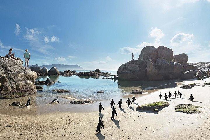 10 Day Cape & Garden Route Tour Combo with add-on accommodation