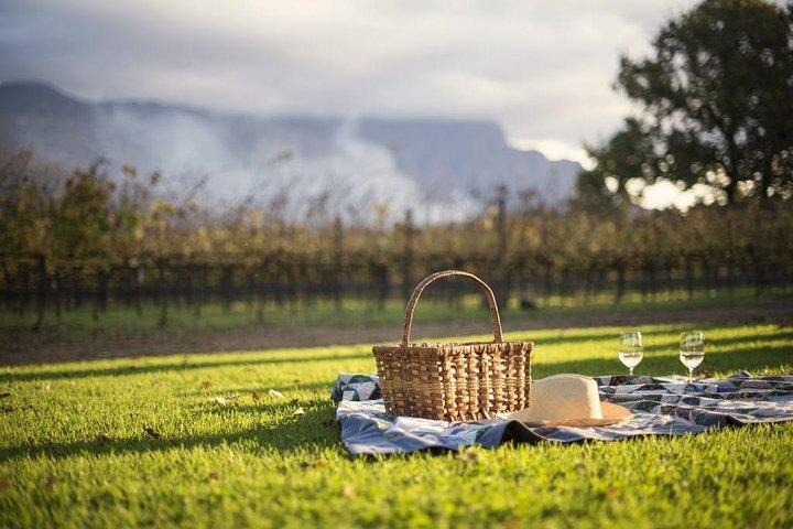 Winelands Explore Full Day Tour: Franschhoek, Paarl, Stellenbosch