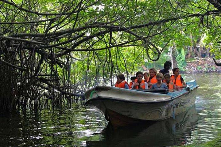 Day Excursion to Bentota from Colombo