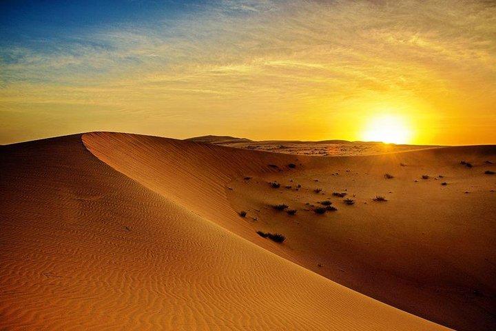 Sunrise Desert Safari from Abu Dhabi