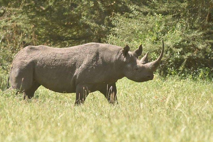 6-Day Tanzania Safari & Cultural Discovery