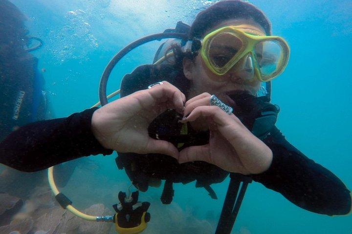 Private Program for Accredited Diver in Búzios