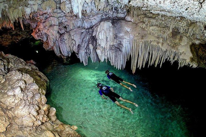 Akumal Turtles, Snorkel Tour from Cancun or Riviera Maya