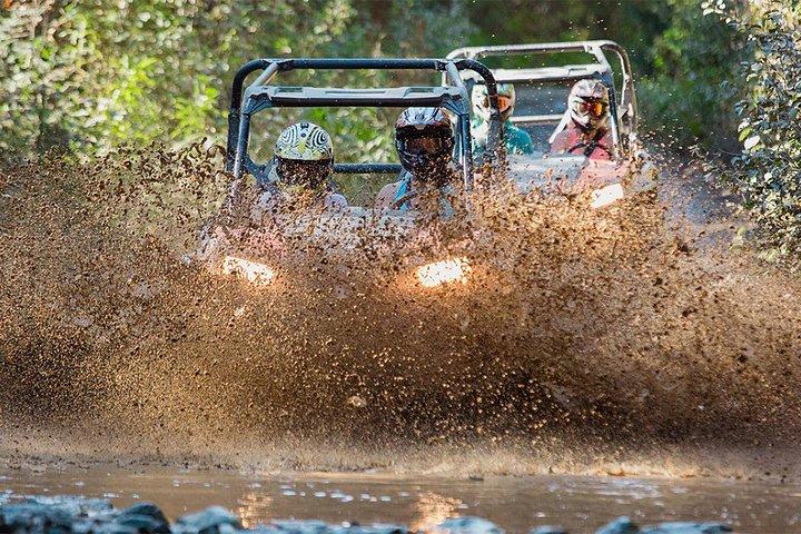 Side-by-Side Off-Roading Adventures on Cougar Mountain