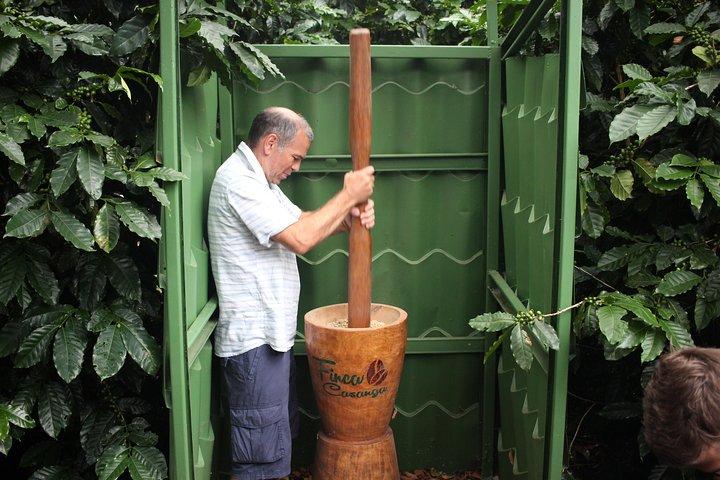 Small, Hands-on Coffee Tour