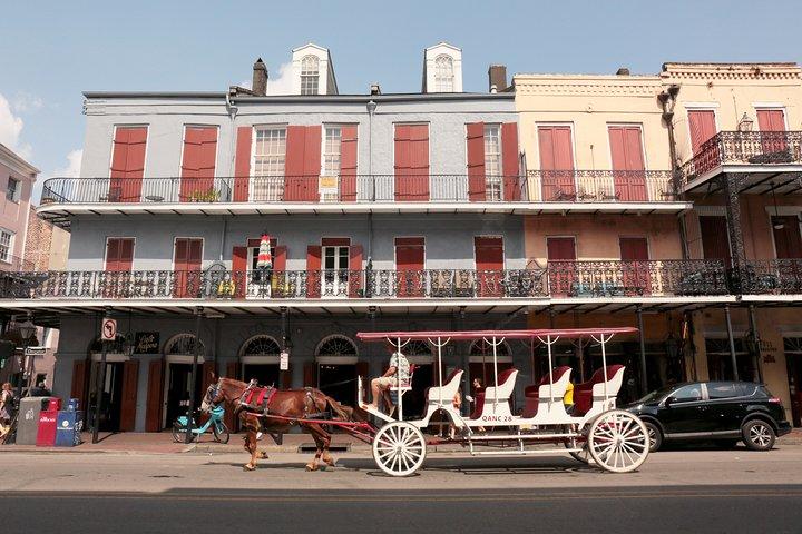 New Orleans City Sightseeing Hop-On Hop-Off Bus Tour
