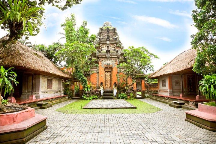 Bali Tour Driver