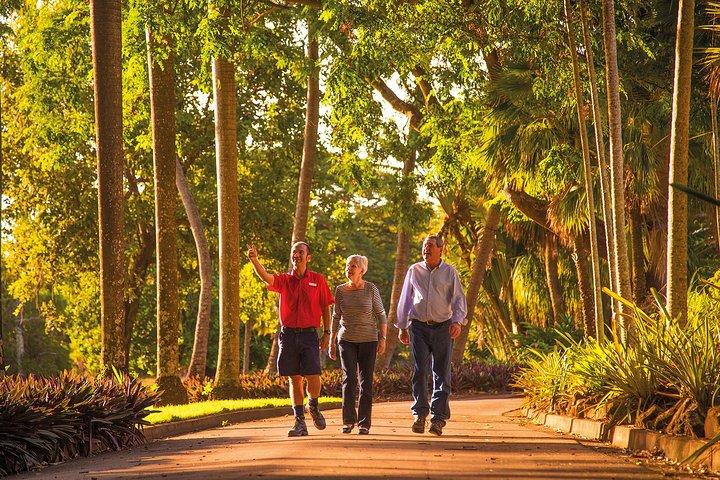 Darwin City Sightseeing Tour