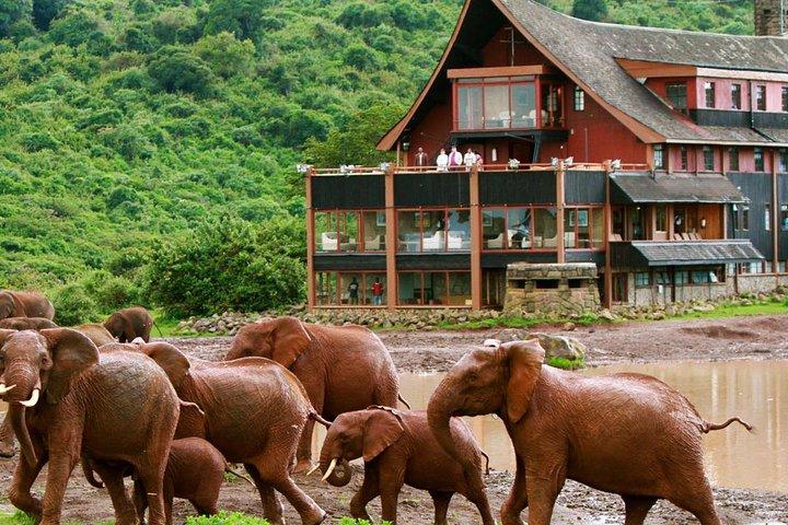 Private 6 Days Aberdares, Lake Nakuru and Masai Mara Wildlife Safari