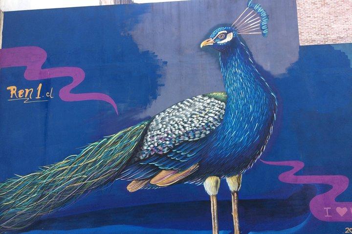 BA: Best Street Art Experience in Palermo