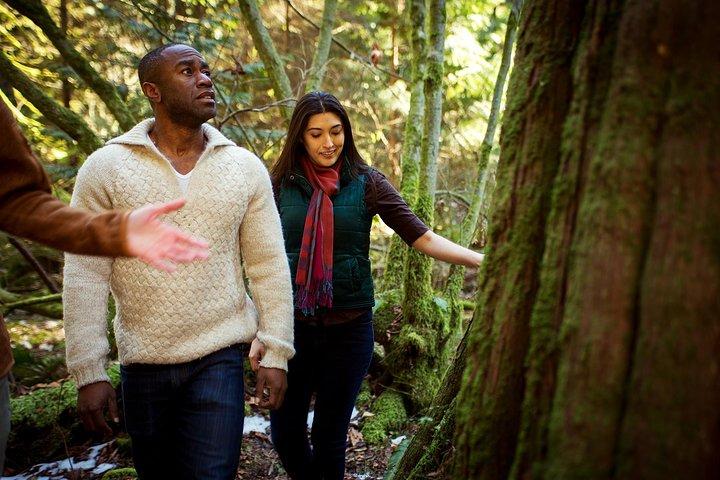 Vancouver Secrets of Stanley Park Walking Tour