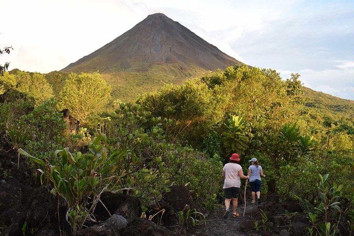 Full-Day Arenal Highlights: Hanging Bridges, Waterfall & Volcano