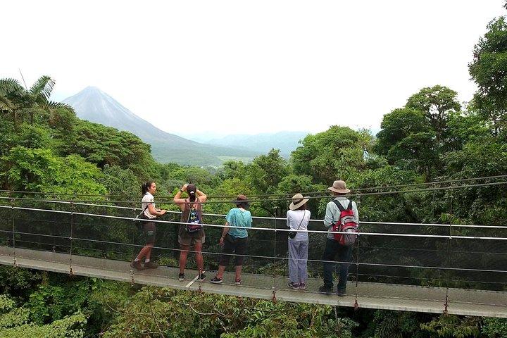 Arenal Hanging Bridges in Mistico Park