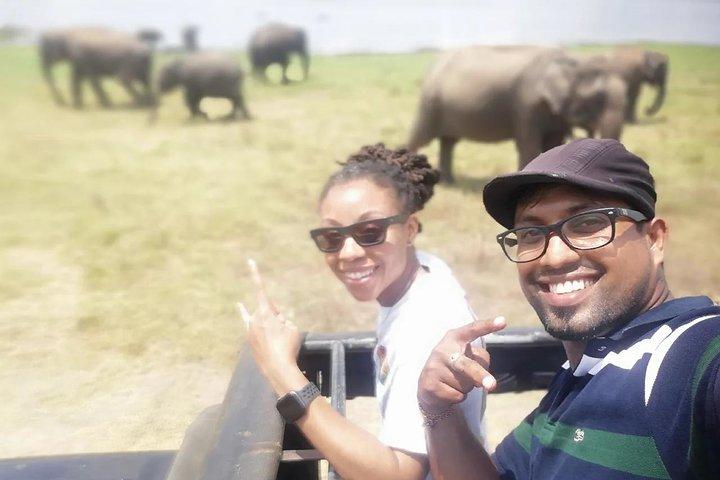 Day Tour from kandy to Sigiriya, Dambulla & National Park safari.