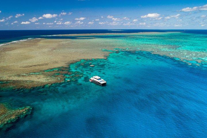 Calypso Outer Great Barrier Reef Cruise from Port Douglas