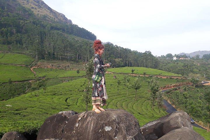Munnar Tea Plantation Walk with Sunset View (By Munnar Info)