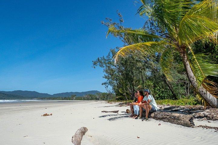 Daintree Rainforest and Mossman Gorge: Full Day Tour