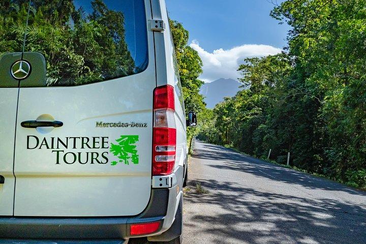 Daintree Rainforest and Mossman Gorge: Full Day Tour