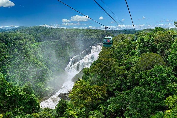 Skyrail Rainforest Cableway Day Trip from Port Douglas